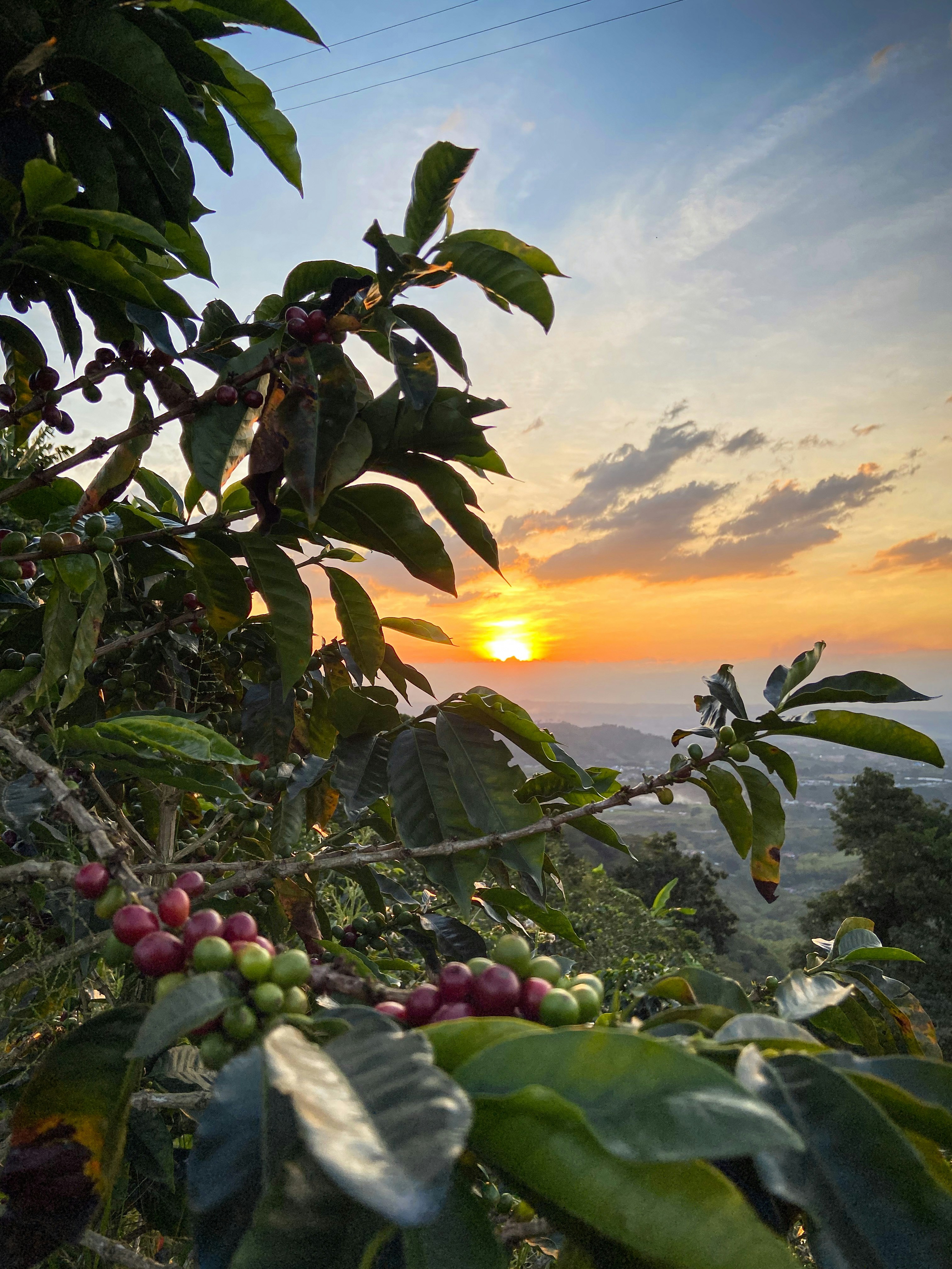 Sierra Nevada de Santa Marta